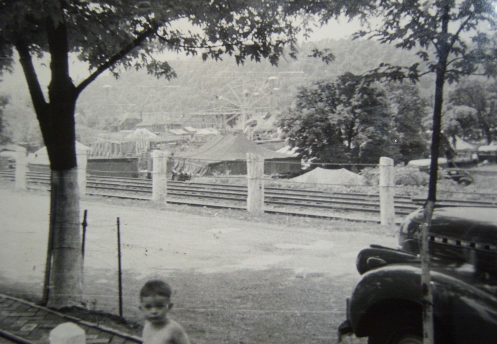 Bull Field Circus